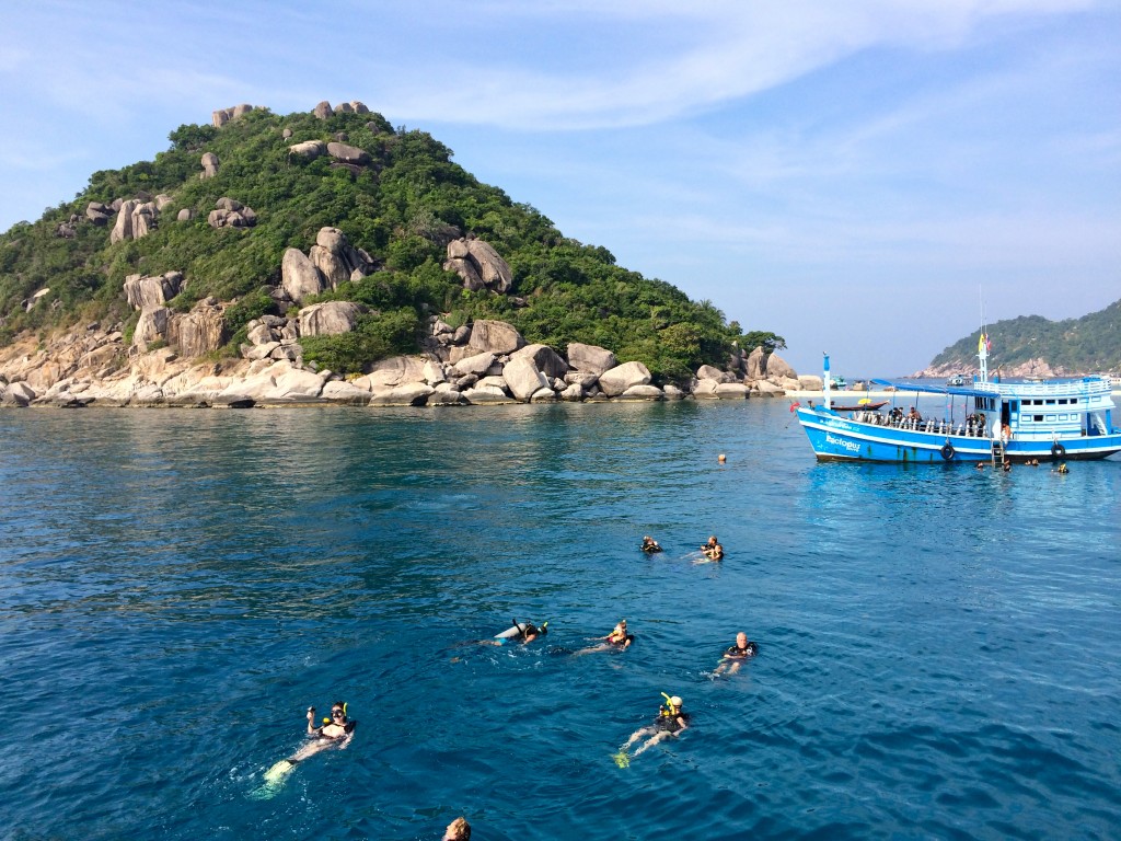 Ko Tao diving