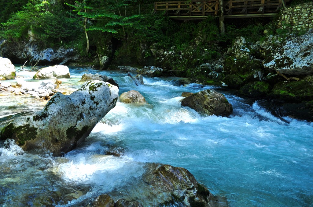 Les gorges de Tolmin