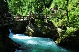 Les Gorges Vintgar Slovénie