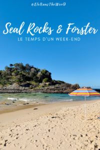 Seal Rocks & Forster Blog Article