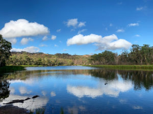 Dunns Swamp – Wollemi National Park