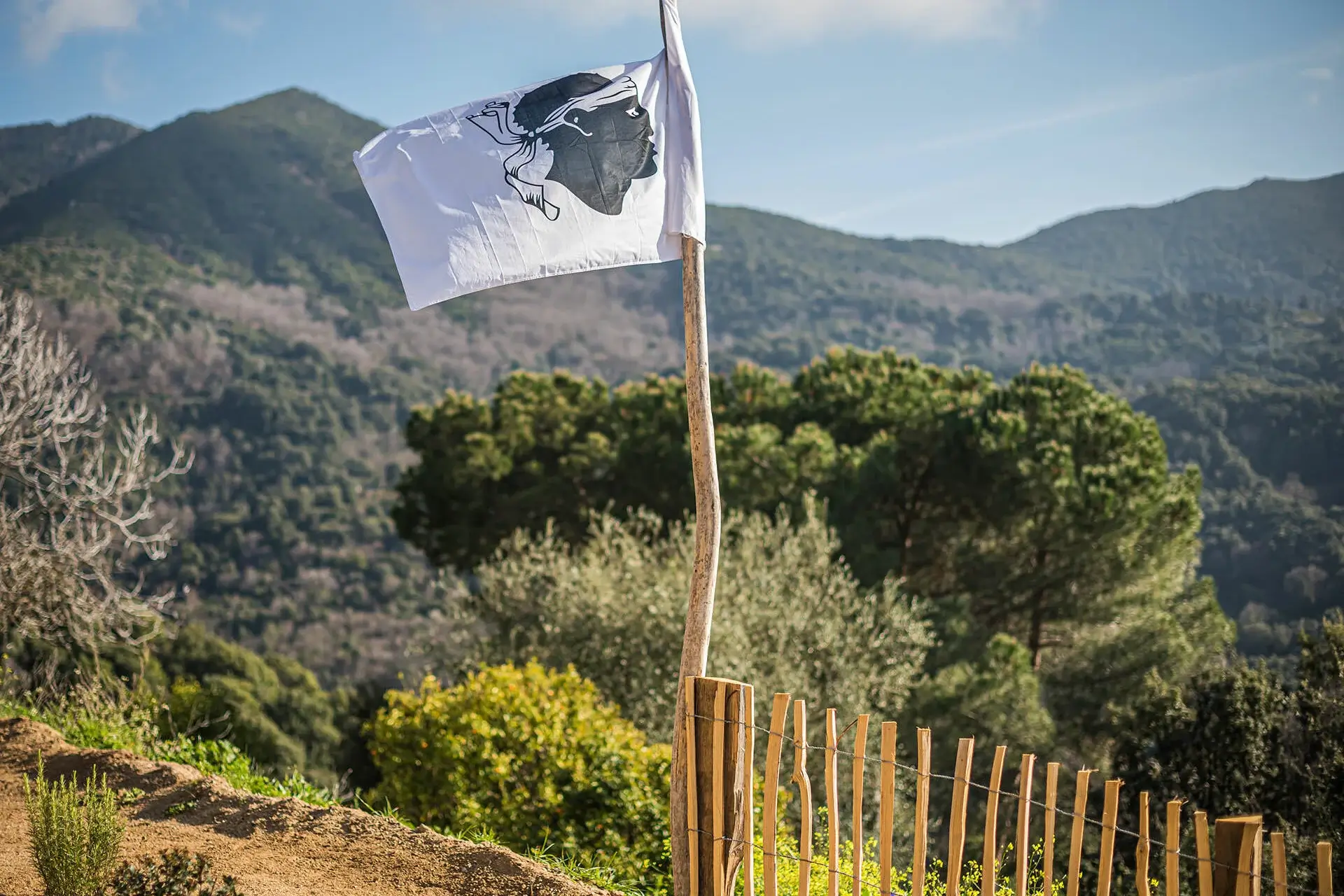 maquis corse