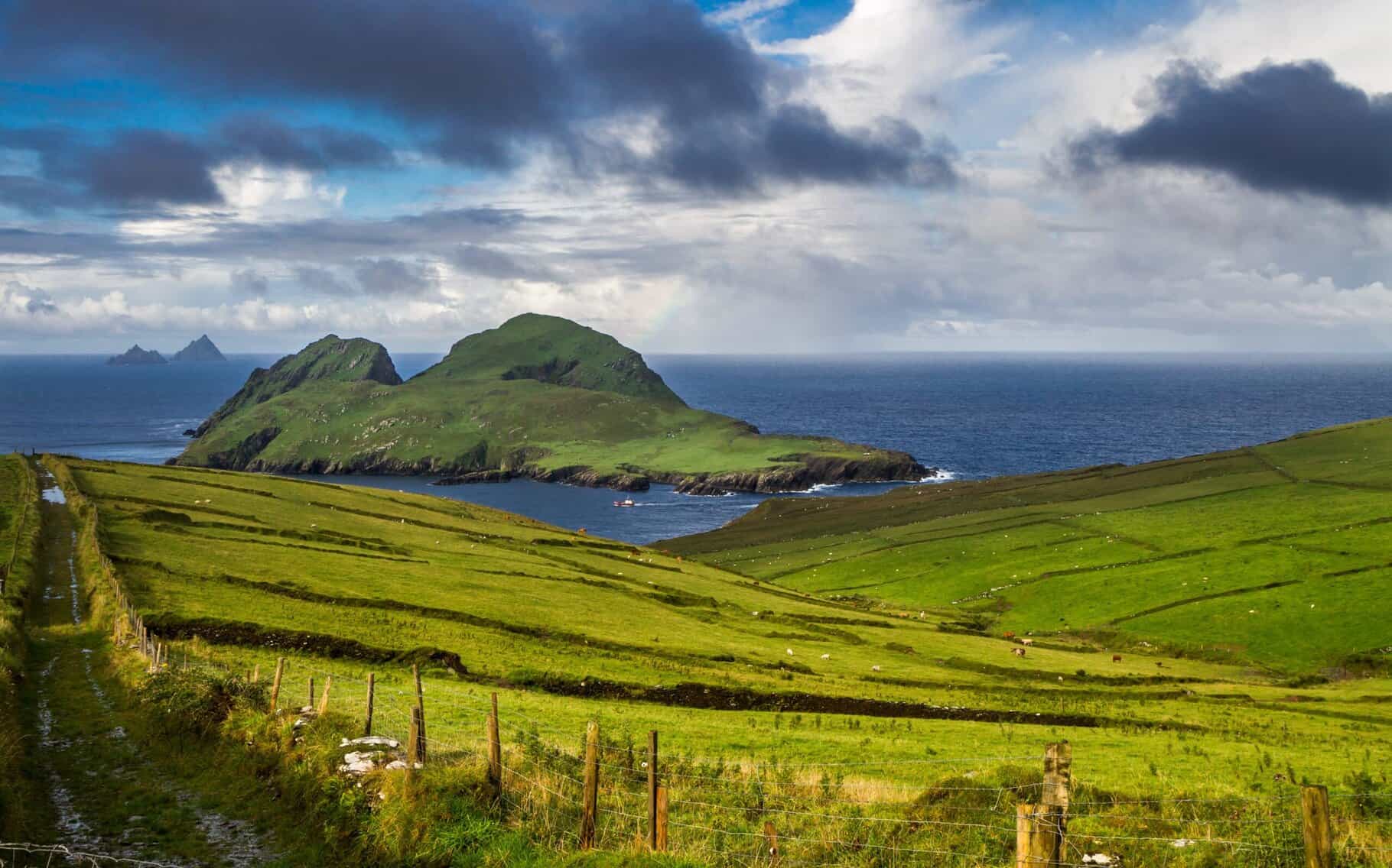 Binn Éadair : l’escapade sauvage à deux pas de Dublin