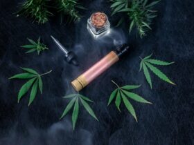 7ae74ad388271af4664ee9574e3d7556 Le CBD à fumer : entre tendances et bénéfices pour le bien-être