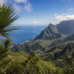 bonnes raisons daimer la reunion